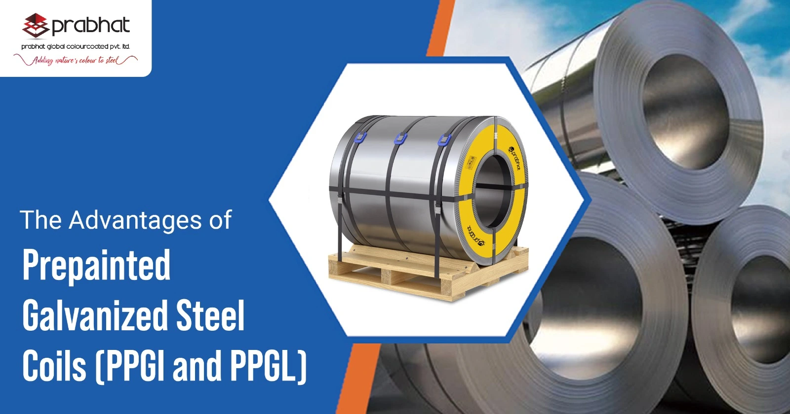 buy Prepainted Galvanized Steel Coils